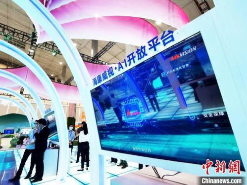 青海点对点助企暖企，春风行动掀起展览展示服务热潮